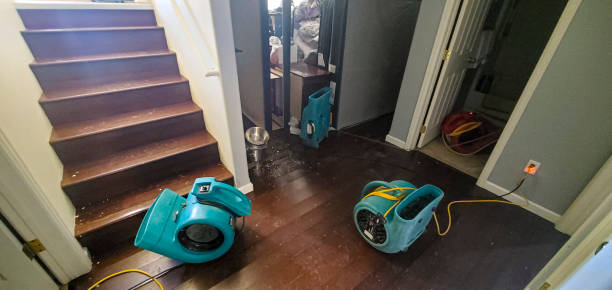 Best Flood restoration services  in Dresden, OH