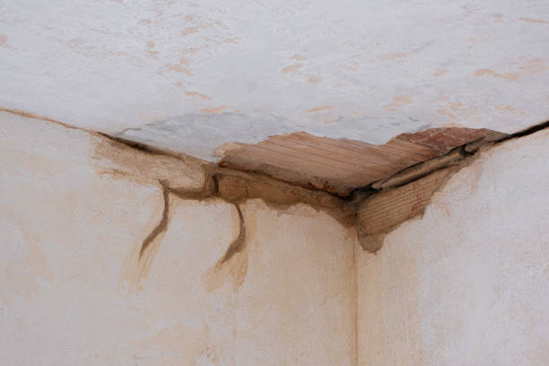 Best 24/7 water damage repair  in Dresden, OH