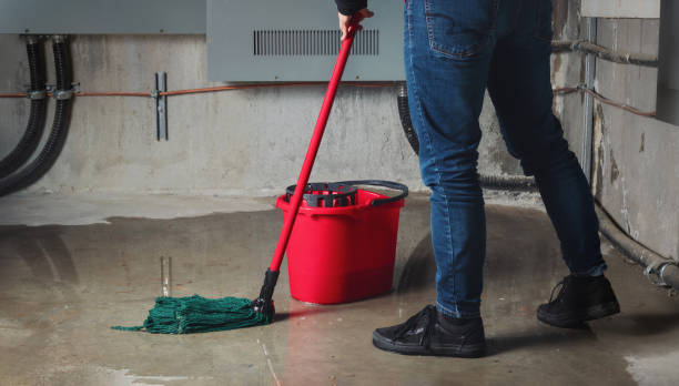 Best Carpet water damage restoration  in Dresden, OH