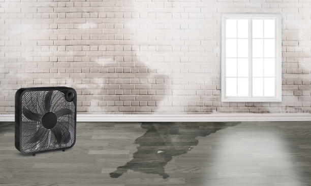 Best Commercial water damage restoration  in Dresden, OH