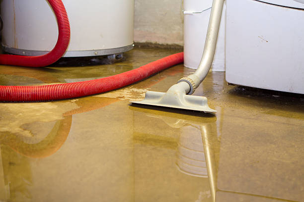 Best Residential water damage restoration  in Dresden, OH