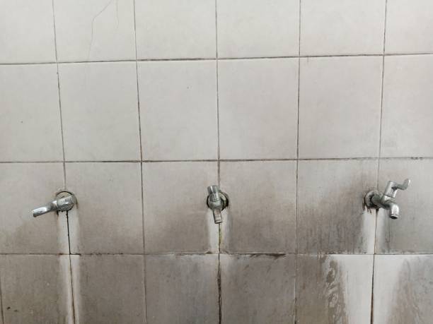 Best Water damage restoration near me  in Dresden, OH