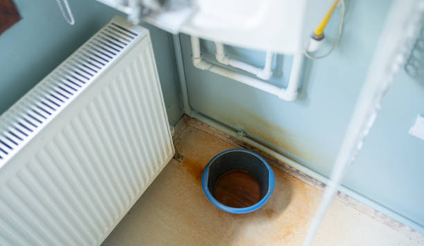 Best Mold removal after water damage  in Dresden, OH