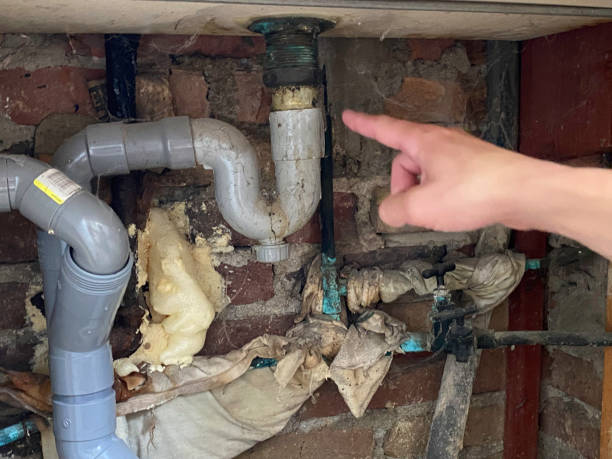 Best Local water damage restoration  in Dresden, OH